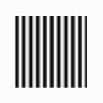Figure 2c: Illustration of a square filled with a sinusoidal grating.